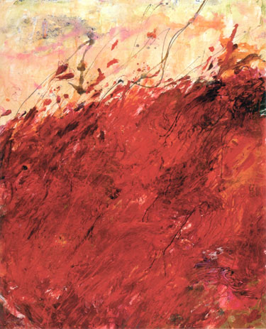 NO SHORES (RED) 8